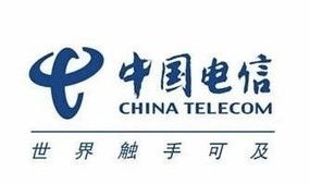 中國(guó)電信新一輪機(jī)構(gòu)改革 地級(jí)市公司邁向銷(xiāo)售服務(wù)新定位